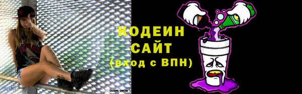 гидра Ельня