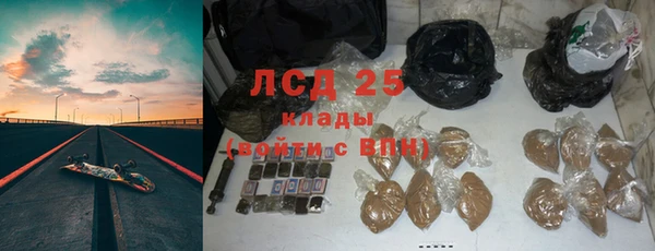 гидра Ельня