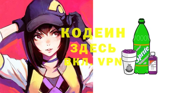 гидра Ельня