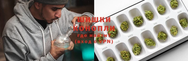 гидра Ельня