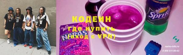 гидра Ельня