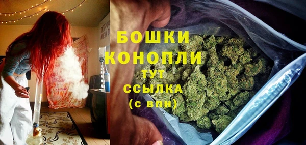 гидра Ельня