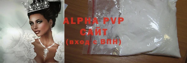 гидра Ельня