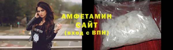 гидра Ельня