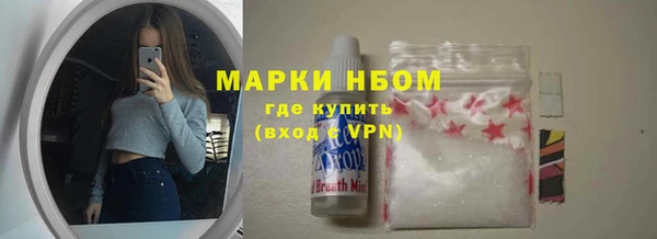 гидра Ельня