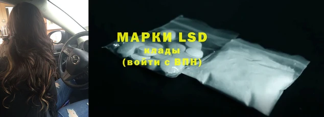 гидра Ельня