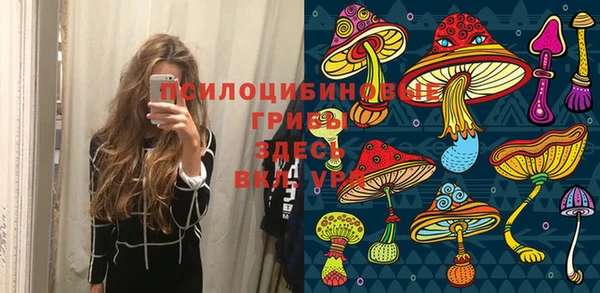 гидра Ельня