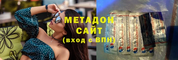гидра Ельня