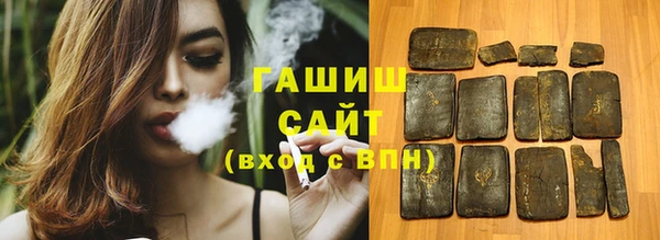 гидра Ельня
