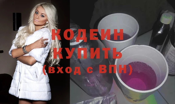 гидра Ельня