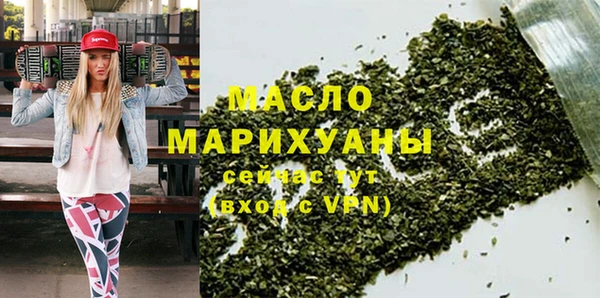 гидра Ельня