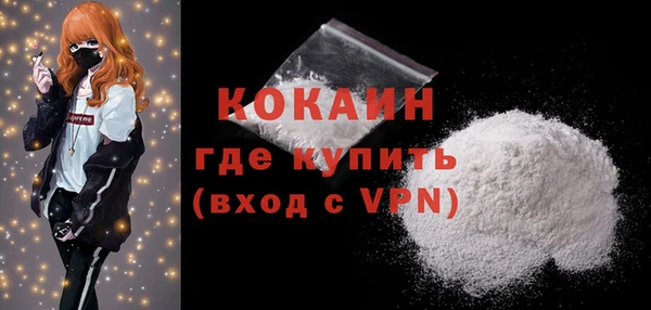 гидра Ельня
