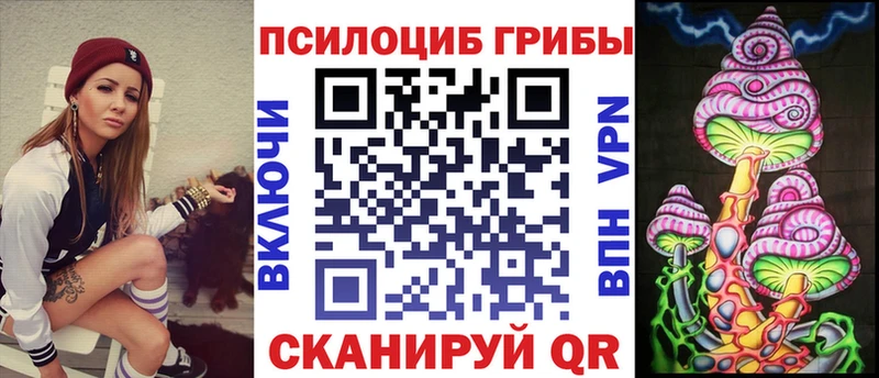 Псилоцибиновые грибы мицелий  где купить наркотик  Жердевка 